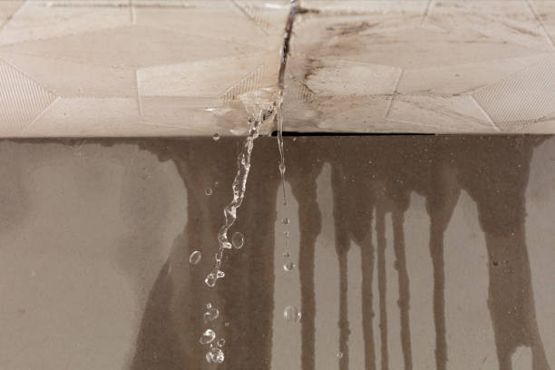 Professional Flood Damage Cleanup technician working in Baldwin, IL